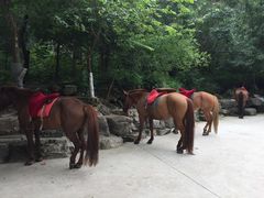 -孤山寨风景区