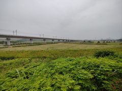 -光明小镇欢乐田园