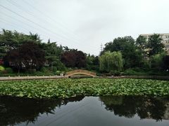 -绿岛汤泉韩式休闲会所