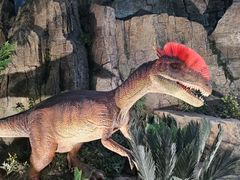 -陕西自然博物馆