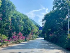 -抚仙湖禄充风景区