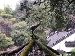 -杭州黄龙洞