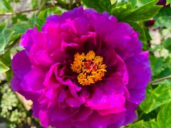 -北京植物园南门售票处