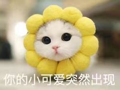 -吉野家(维明街店)