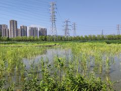 -永定河休闲森林公园