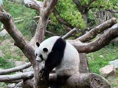 -宁波野生动物园