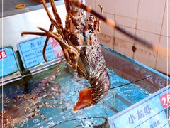 -琼菜王(南海店)