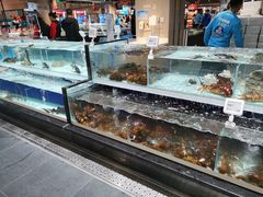 水产区-盒马鲜生(新都心店)