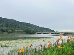 -长广溪湿地公园