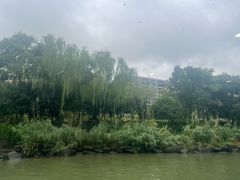 -信义坊码头