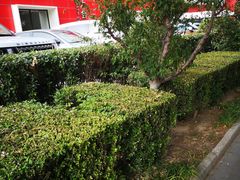 -亞力山大会馆(华腾园店)