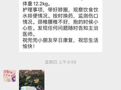-宠爱国际动物医院· 猫科· 外科·中兽医(长白店)