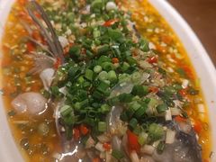 -飞虹鱼馆(南湖店)