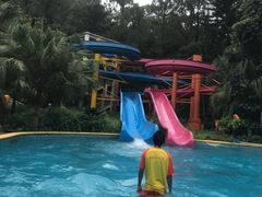 -虎英水上乐园