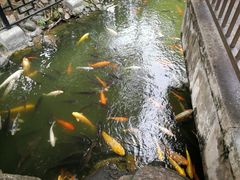 -珠海圆明新园