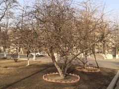 iphone_upload_pic-辽宁大学(崇山校区)