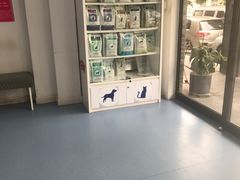 -伟伟宠物医院·CT影像中心·瑞派犬猫综合性门诊(汉口总院)