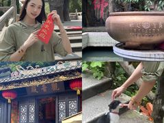 -鼎香皇高佬苏裹蒸粽