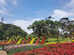 -广州市石门国家森林公园
