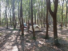 -广富林郊野公园