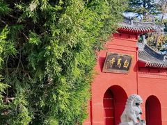 -洛阳白马寺