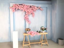 -小熊维尼高端儿童摄影(宝安旗舰店)