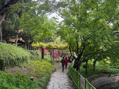 -嘉定紫藤园