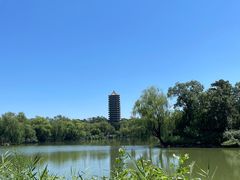 -北京大学赛克勒考古与艺术博物馆