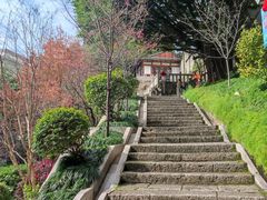 -乌山风景区