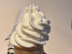 -麦当劳(从化从城大道店)