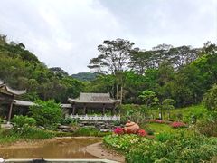 -广州市白云山风景名胜区