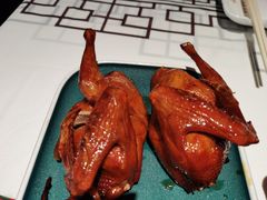 红烧乳鸽-大鸽饭(体育西路店)