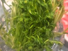 -草原传奇鲜羊火锅(桥北店)
