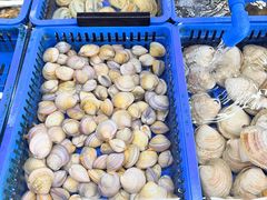 -双月饭店·20年老字号(新村店)
