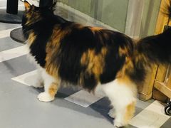 -小时光咖啡馆(开森度假森林店)