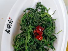 -老碗会·陕西手工面(中心书城店)