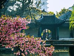 -拙政园
