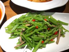 鲜茶树菇炒茼蒿-蝦塘·中国餐馆(城墙南马道巷店)