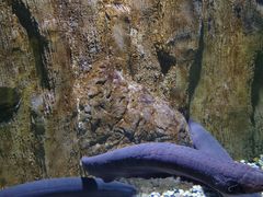 -多彩贵州城极地海洋世界