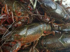 -王红军龙虾(新民路店)