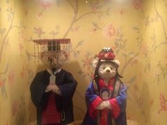 -济州岛泰迪熊博物馆