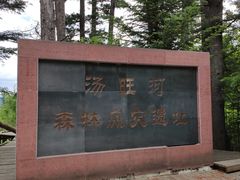 -汤旺河林海奇石景区
