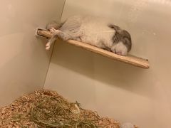 -龙猫仔乐园(惠福东路店)