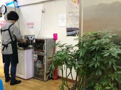 -传闻来紫菜包饭·打糕(西塔韩百店)