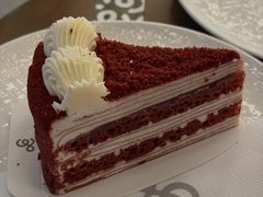 红丝绒千层-gaga(北京新中关购物中心店)