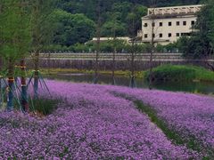 -溪口-滕头旅游景区