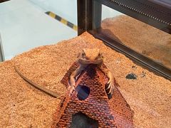 -三旗百汇商品城