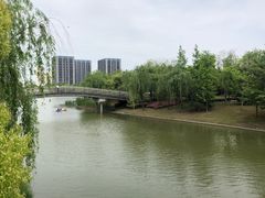 -南翔镇银翔湖公园