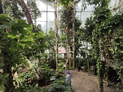 -北京植物园-展览温室