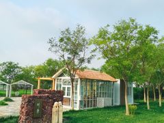 -天津东丽湖风景区